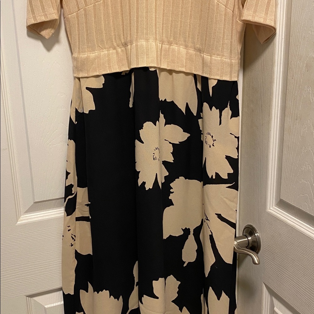 Cato Fashions Dress Size Medium Petite with Pockets - Picture 4 of 8